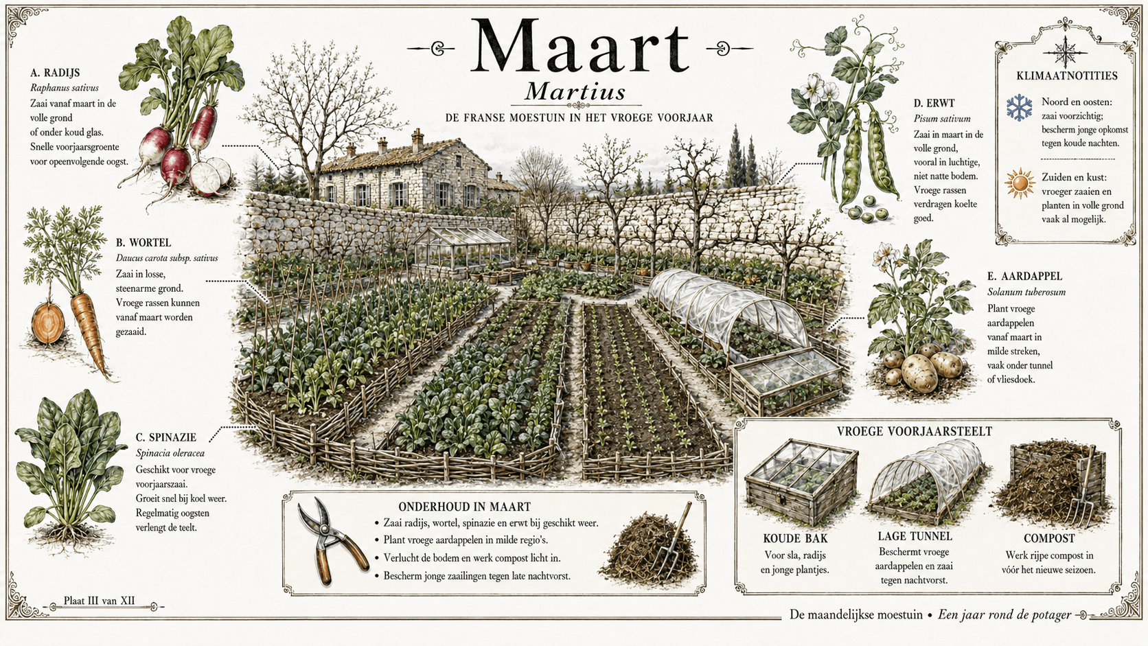 Maart in de Franse moestuin — botanische plaat met asperge, rabarber, doperwt, sneeuwklokje en eerste tomaten in het vroege voorjaar